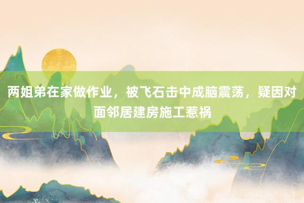 两姐弟在家做作业，被飞石击中成脑震荡，疑因对面邻居建房施工惹祸