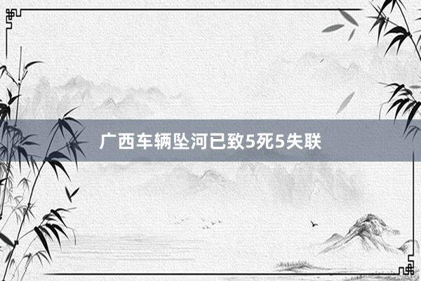 广西车辆坠河已致5死5失联
