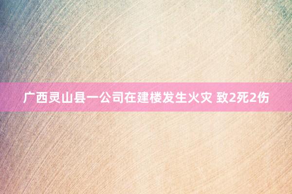 广西灵山县一公司在建楼发生火灾 致2死2伤
