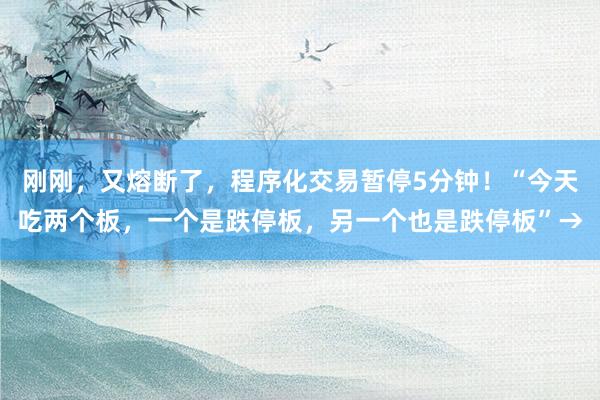 刚刚，又熔断了，程序化交易暂停5分钟！“今天吃两个板，一个是跌停板，另一个也是跌停板”→