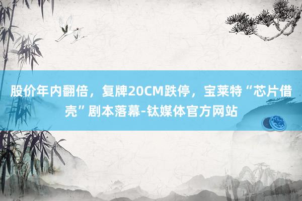 股价年内翻倍，复牌20CM跌停，宝莱特“芯片借壳”剧本落幕-钛媒体官方网站