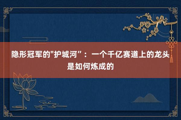 隐形冠军的"护城河”：一个千亿赛道上的龙头是如何炼成的