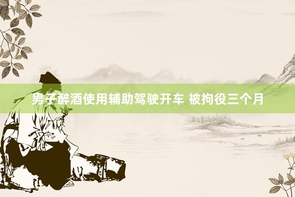 男子醉酒使用辅助驾驶开车 被拘役三个月
