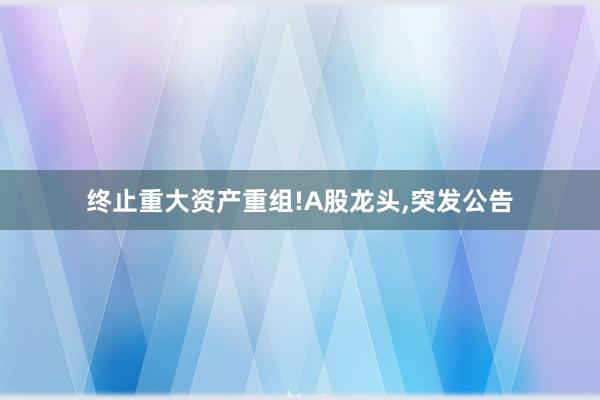 终止重大资产重组!A股龙头,突发公告