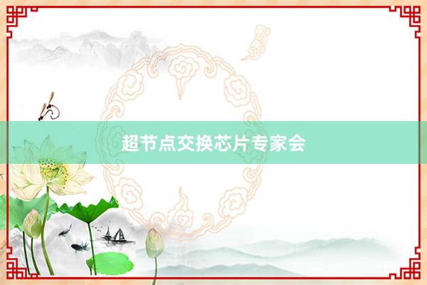 超节点交换芯片专家会