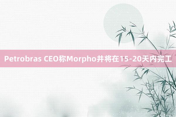 Petrobras CEO称Morpho井将在15-20天内完工