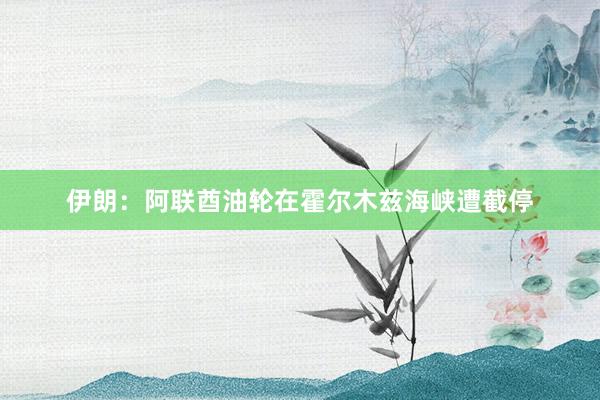 伊朗：阿联酋油轮在霍尔木兹海峡遭截停