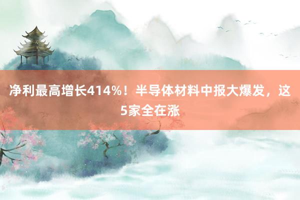净利最高增长414%!半导体材料中报大爆发,这5家全在涨