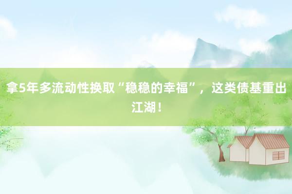 拿5年多流动性换取“稳稳的幸福”，这类债基重出江湖！