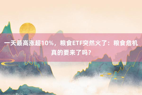 一天最高涨超10%，粮食ETF突然火了：粮食危机真的要来了吗？