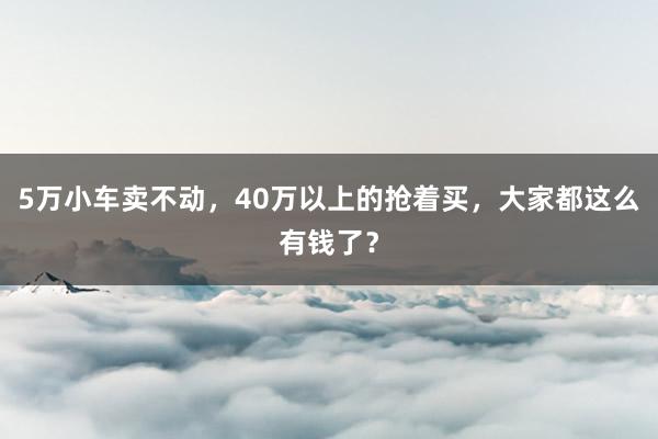 5万小车卖不动，40万以上的抢着买，大家都这么有钱了？