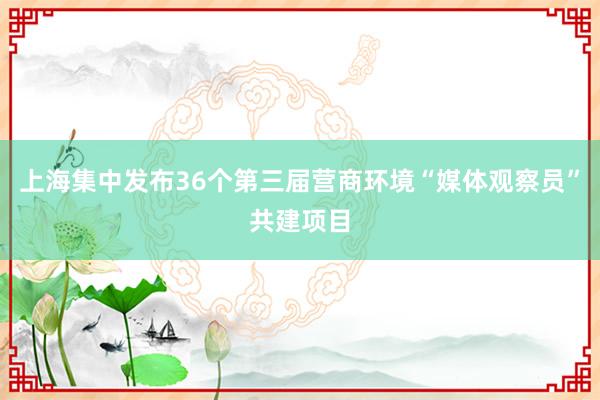 上海集中发布36个第三届营商环境“媒体观察员”共建项目