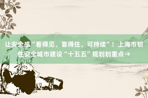 让安全感“看得见、靠得住、可持续”！上海市韧性安全城市建设“十五五”规划划重点→