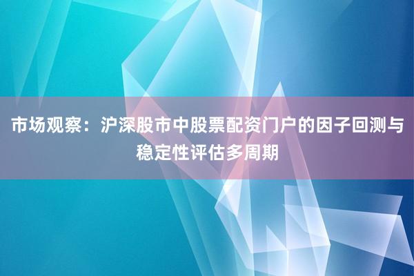 市场观察：沪深股市中股票配资门户的因子回测与稳定性评估多周期