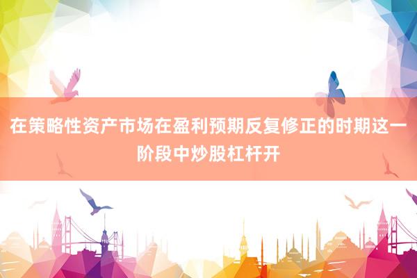 在策略性资产市场在盈利预期反复修正的时期这一阶段中炒股杠杆开