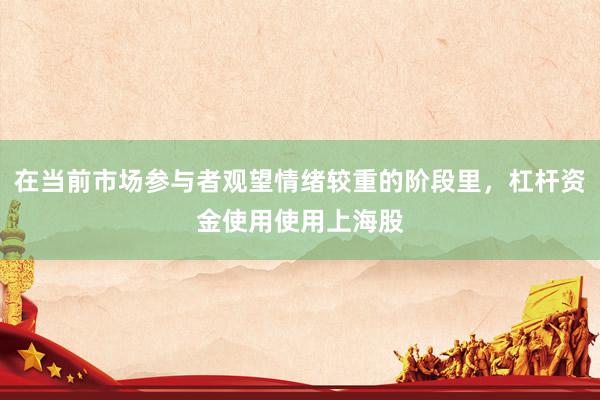 在当前市场参与者观望情绪较重的阶段里，杠杆资金使用使用上海股
