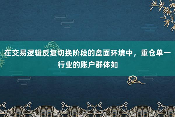 在交易逻辑反复切换阶段的盘面环境中,重仓单一行业的账户群体如