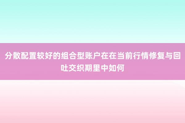 分散配置较好的组合型账户在在当前行情修复与回吐交织期里中如何