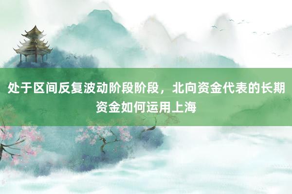 处于区间反复波动阶段阶段，北向资金代表的长期资金如何运用上海