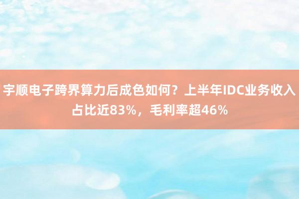 宇顺电子跨界算力后成色如何？上半年IDC业务收入占比近83%，毛利率超46%
