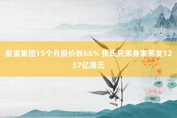蜜雪集团15个月股价跌66% 张氏兄弟身家蒸发1257亿港元