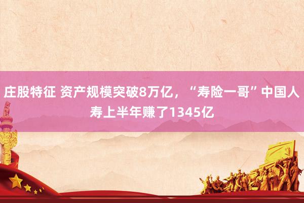 庄股特征 资产规模突破8万亿，“寿险一哥”中国人寿上半年赚了1345亿