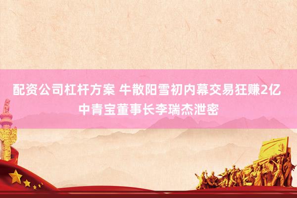 配资公司杠杆方案 牛散阳雪初内幕交易狂赚2亿 中青宝董事长李瑞杰泄密