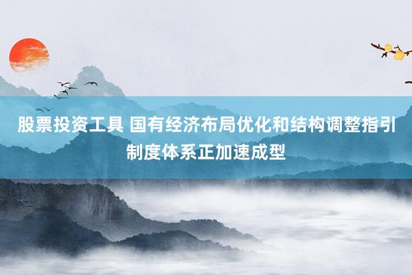 股票投资工具 国有经济布局优化和结构调整指引制度体系正加速成型