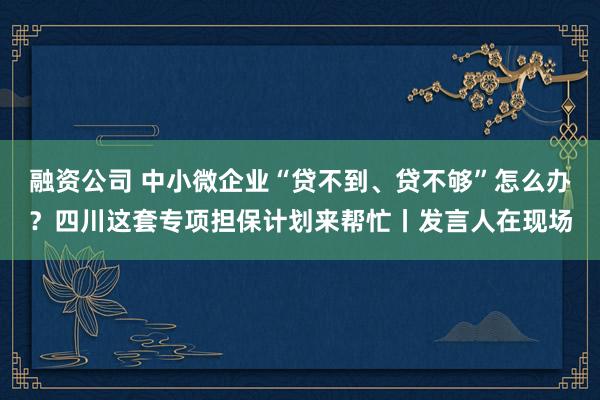 融资公司 中小微企业“贷不到、贷不够”怎么办？四川这套专项担保计划来帮忙丨发言人在现场