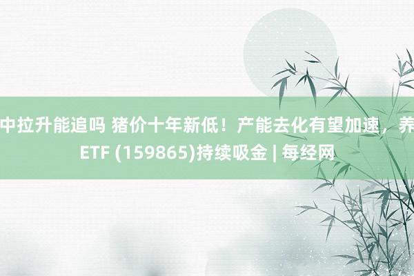 盘中拉升能追吗 猪价十年新低！产能去化有望加速，养殖ETF (159865)持续吸金 | 每经网