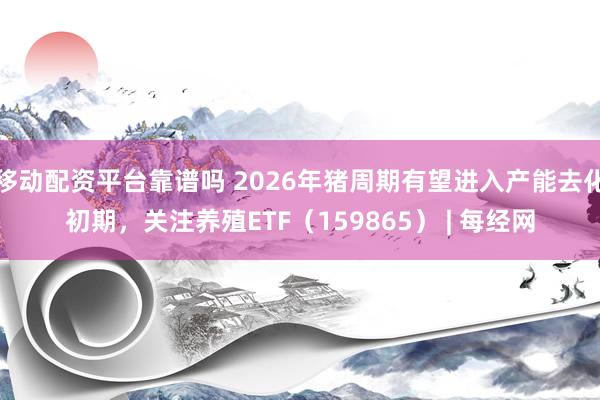移动配资平台靠谱吗 2026年猪周期有望进入产能去化初期，关注养殖ETF（159865） | 每经网