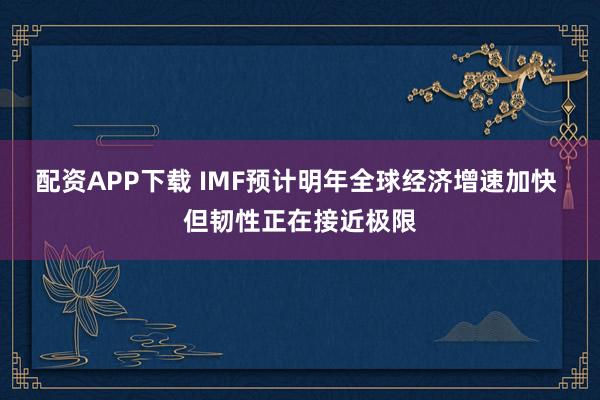 配资APP下载 IMF预计明年全球经济增速加快 但韧性正在接近极限